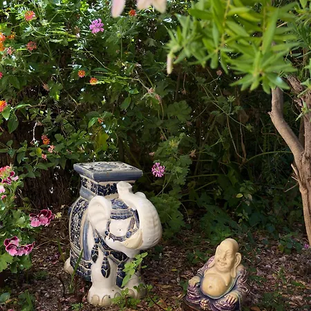 T1 - Cocon Dore Et Jardin Secret, Liberation